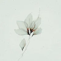 Heyson — Tmwyd — обложка
